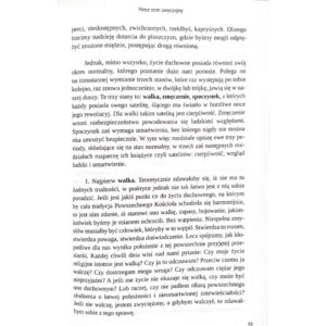 Postęp duszy czyli wzrost w świętości - obrazek 3